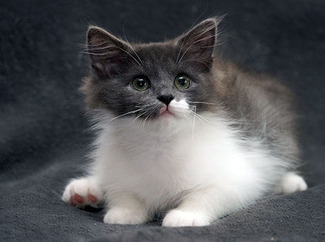 Quiana am 20.07.2025